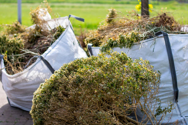 Best Local Junk Hauling  in Steubenville, OH